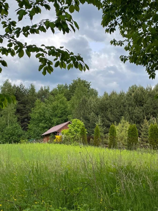 Wittowka - Domek Na Wylacznosc Z Dala Od Sasiadow Tomaszów Lubelski المظهر الخارجي الصورة